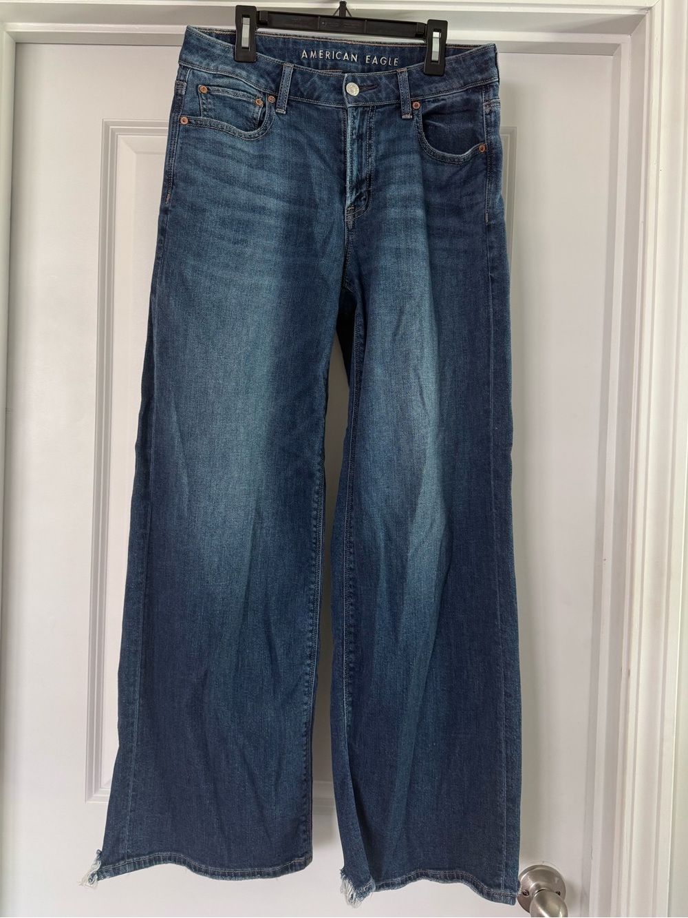 American Eagle Low Rise Baggy Wide Leg Size 2